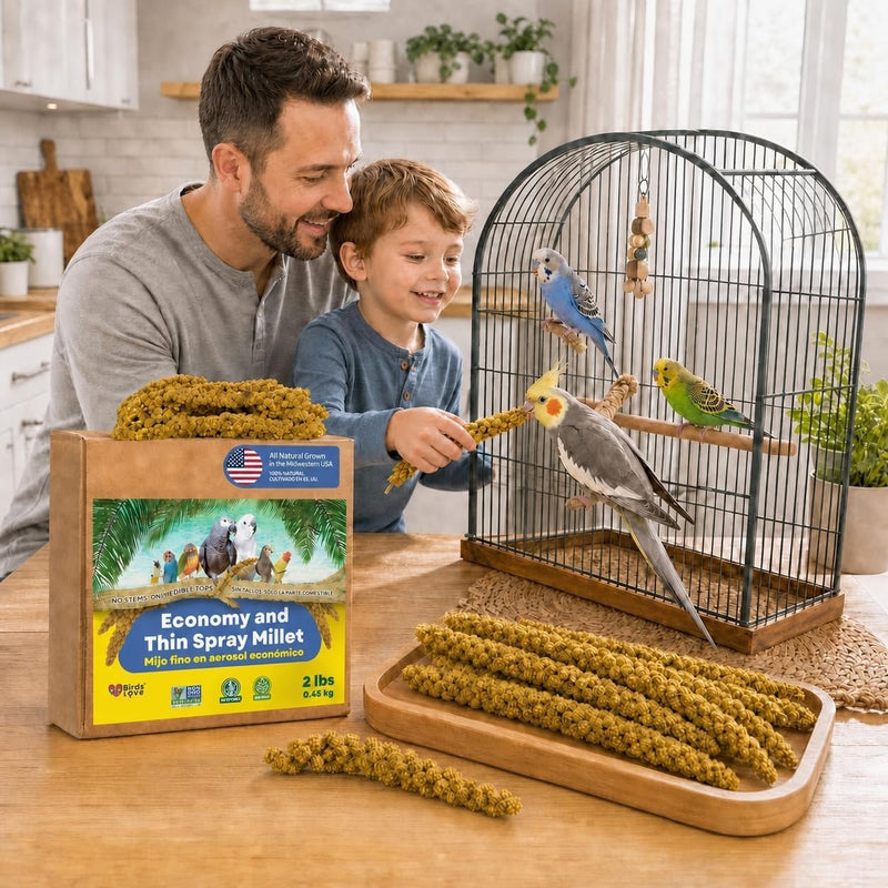 2lbs Economy & Special Spray Millet for Birds - GMO-Free, No Stems (Only Edible Tops) - 100% Natural Sun-Dried Foraging Treat for Cockatiels, Lovebirds, Parakeets, Finches & Canaries