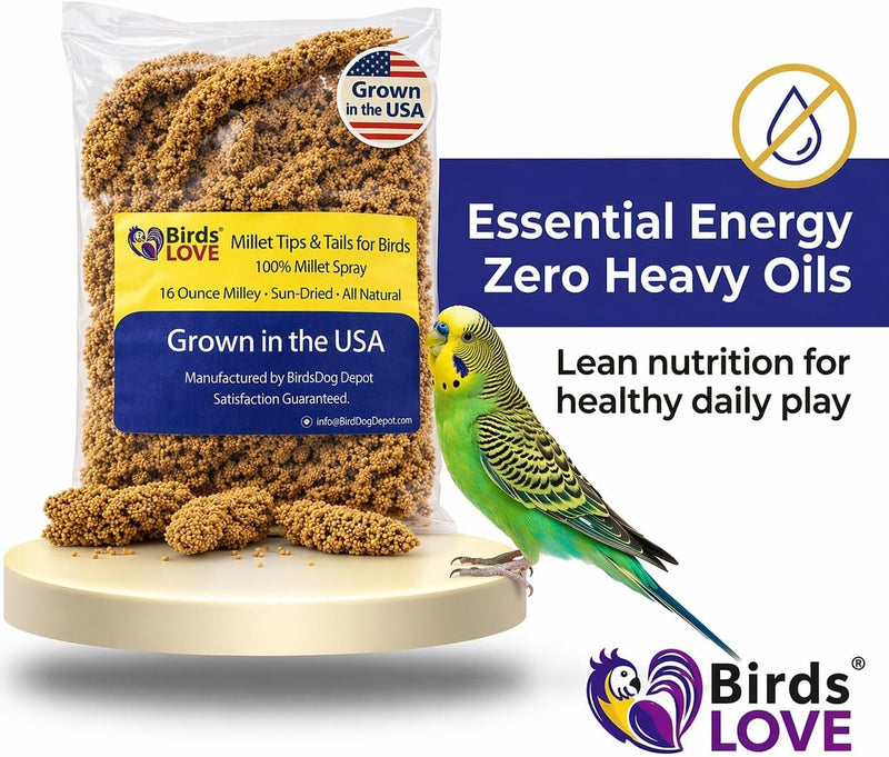 Birds LOVE Millet Tips & Tails for Birds - Spray Millet Treat, Non-GMO, USA Grown - Natural Bird Food for Parakeets, Cockatiels, Budgies, Lovebirds, Finches, Canaries & Parrots - 1 lb, 2 Pack