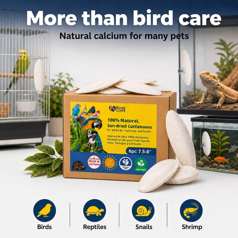 Birds LOVE Natural Cuttlebone - 6 Pack, 7.5-8"