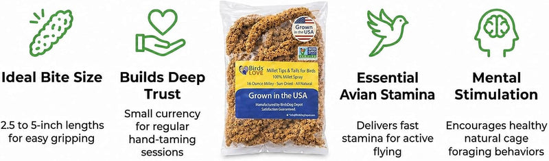 Birds LOVE Millet Tips & Tails for Birds - Premium Spray Millet Treat, Non-GMO, USA Grown - Natural Bird Food for Parakeets, Cockatiels, Budgies, Lovebirds, Finches, Canaries & Parrots - 1 lb