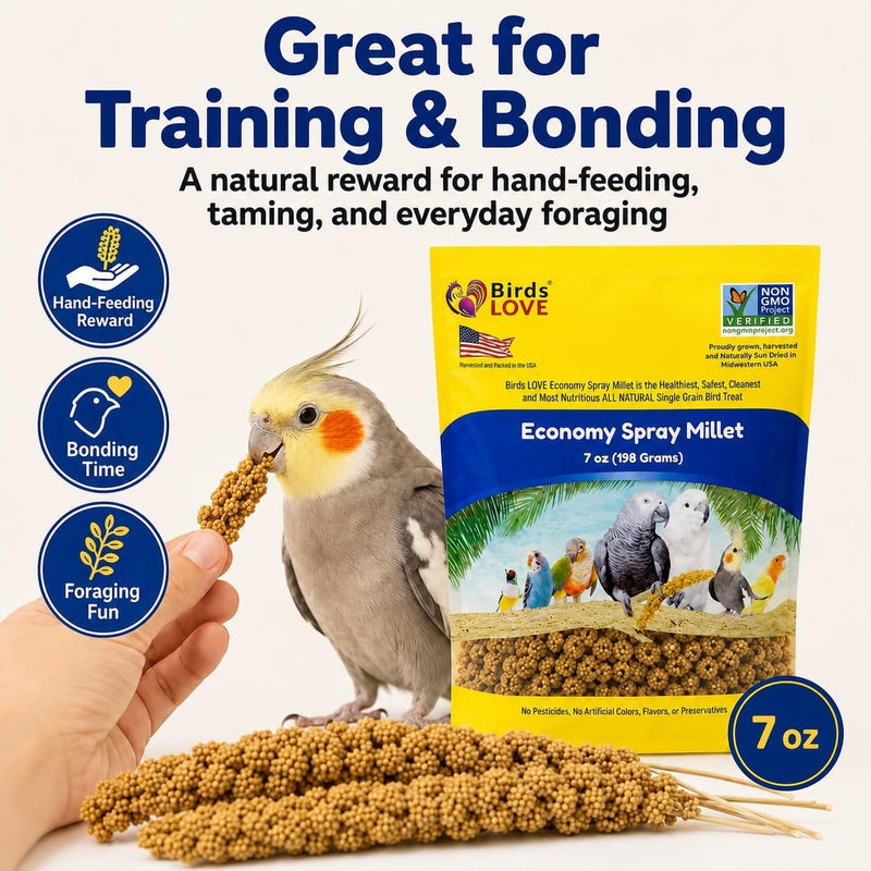 Birds LOVE Economy Spray Millet for Birds, 7 oz, GMO-Free Natural Millet Spray Treat, Stem-Reduced Edible Tops, Grown in USA, for Parakeets, Cockatiels, Lovebirds, Finches, Canaries & Small Parrots